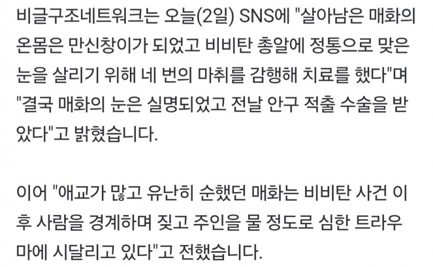스포츠중계,무료스포츠중계,해외스포츠중계