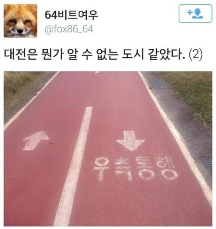1751594178147786.jpg