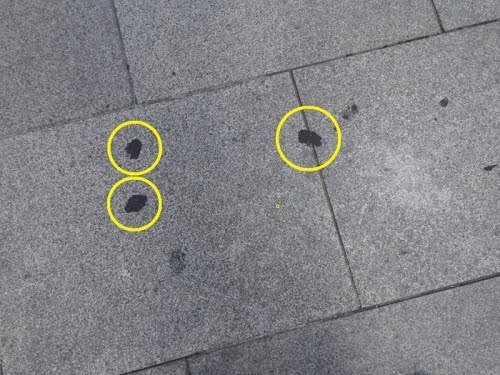 스포츠중계,무료스포츠중계,해외스포츠중계