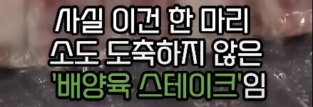 스포츠중계,무료스포츠중계,해외스포츠중계