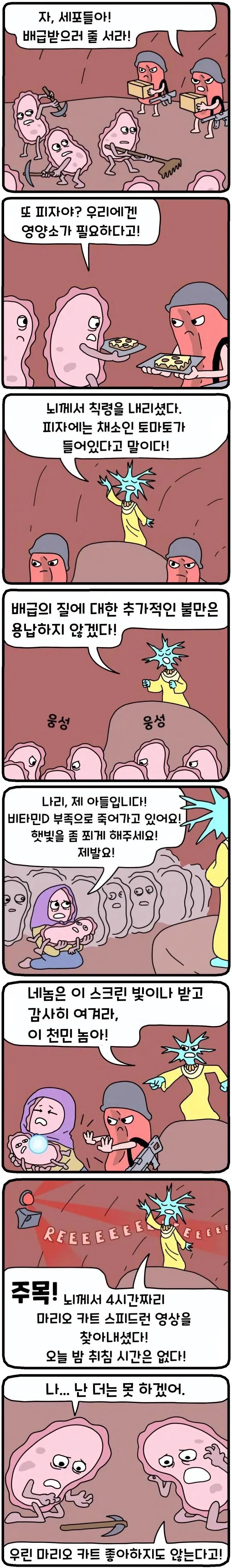 스포츠중계,무료스포츠중계,해외스포츠중계