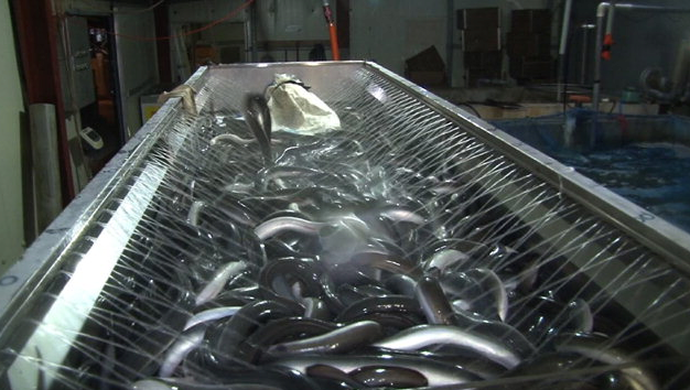 스포츠중계,무료스포츠중계,해외스포츠중계