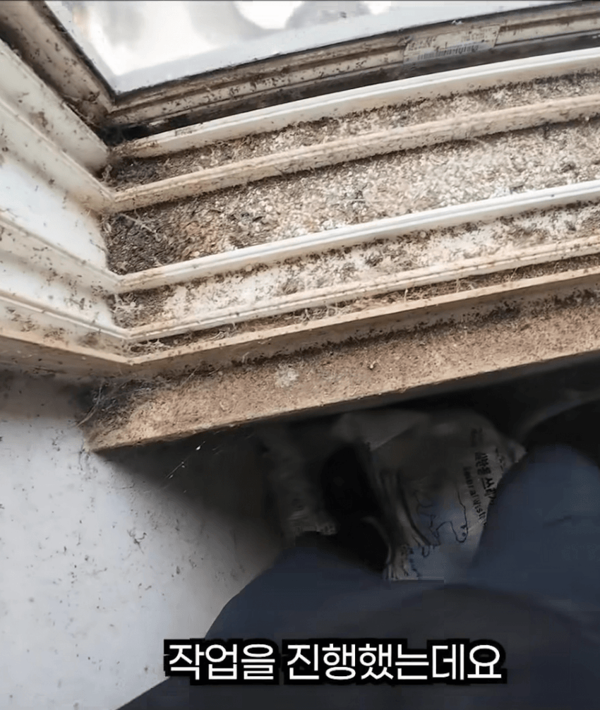 스포츠중계,무료스포츠중계,해외스포츠중계