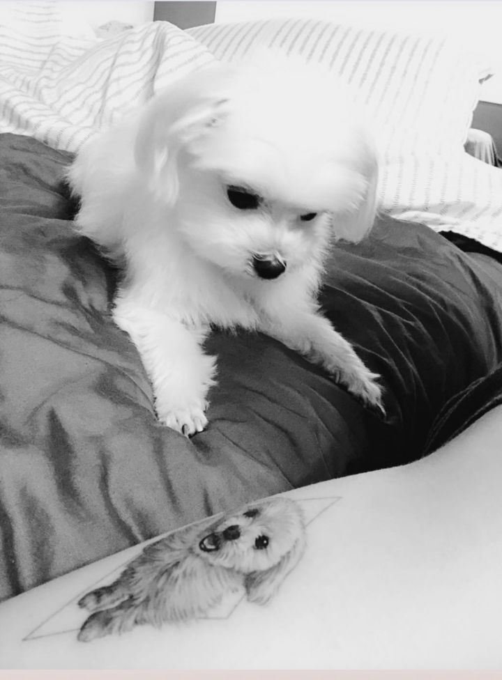 스포츠중계,무료스포츠중계,해외스포츠중계