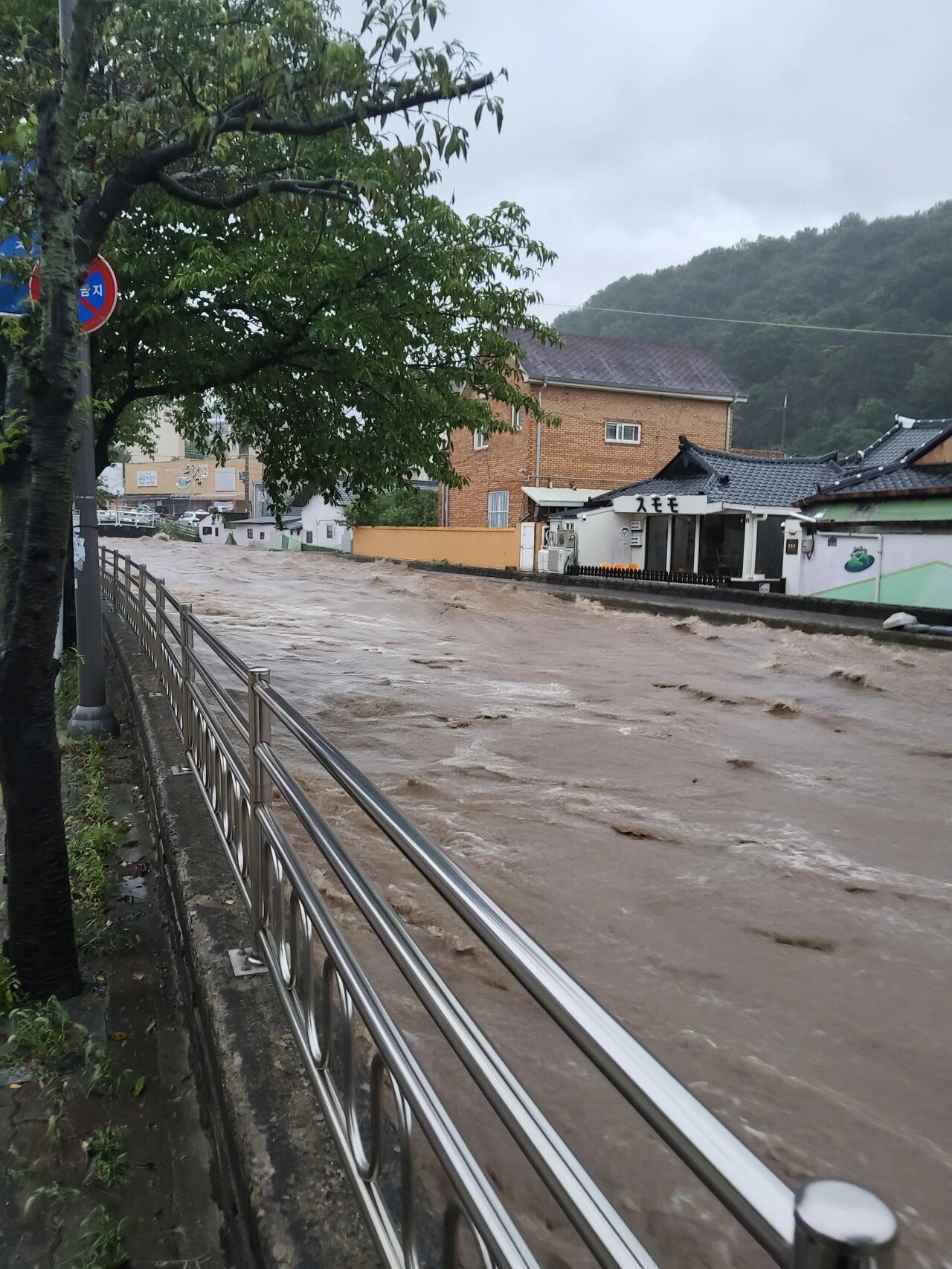 스포츠중계,무료스포츠중계,해외스포츠중계