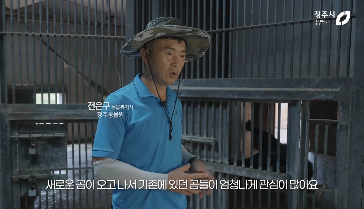 스포츠중계,무료스포츠중계,해외스포츠중계
