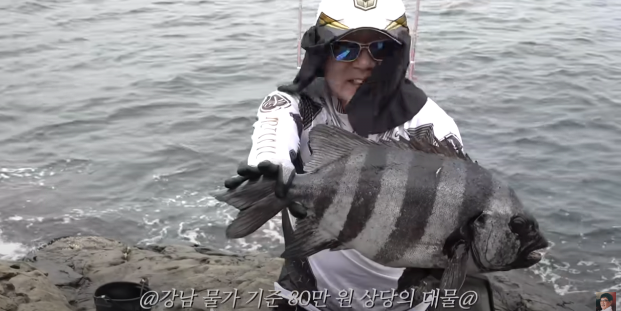 스포츠중계,무료스포츠중계,해외스포츠중계