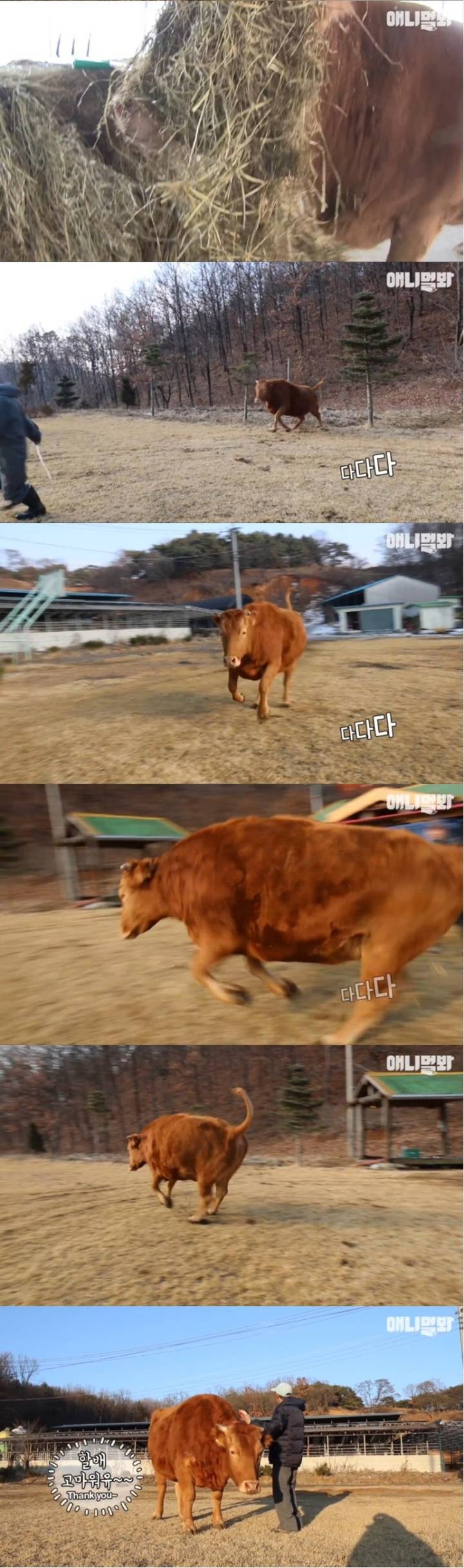 스포츠중계,무료스포츠중계,해외스포츠중계