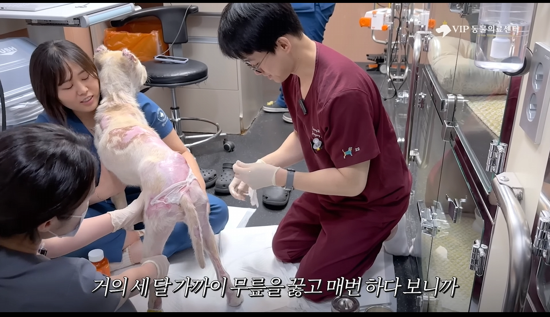 스포츠중계,무료스포츠중계,해외스포츠중계