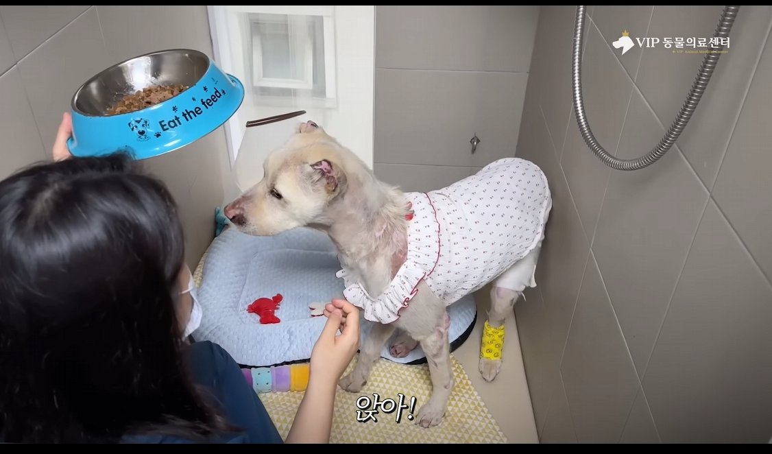 스포츠중계,무료스포츠중계,해외스포츠중계