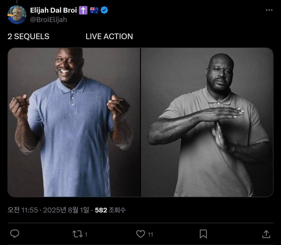 1754091350336742.jpg