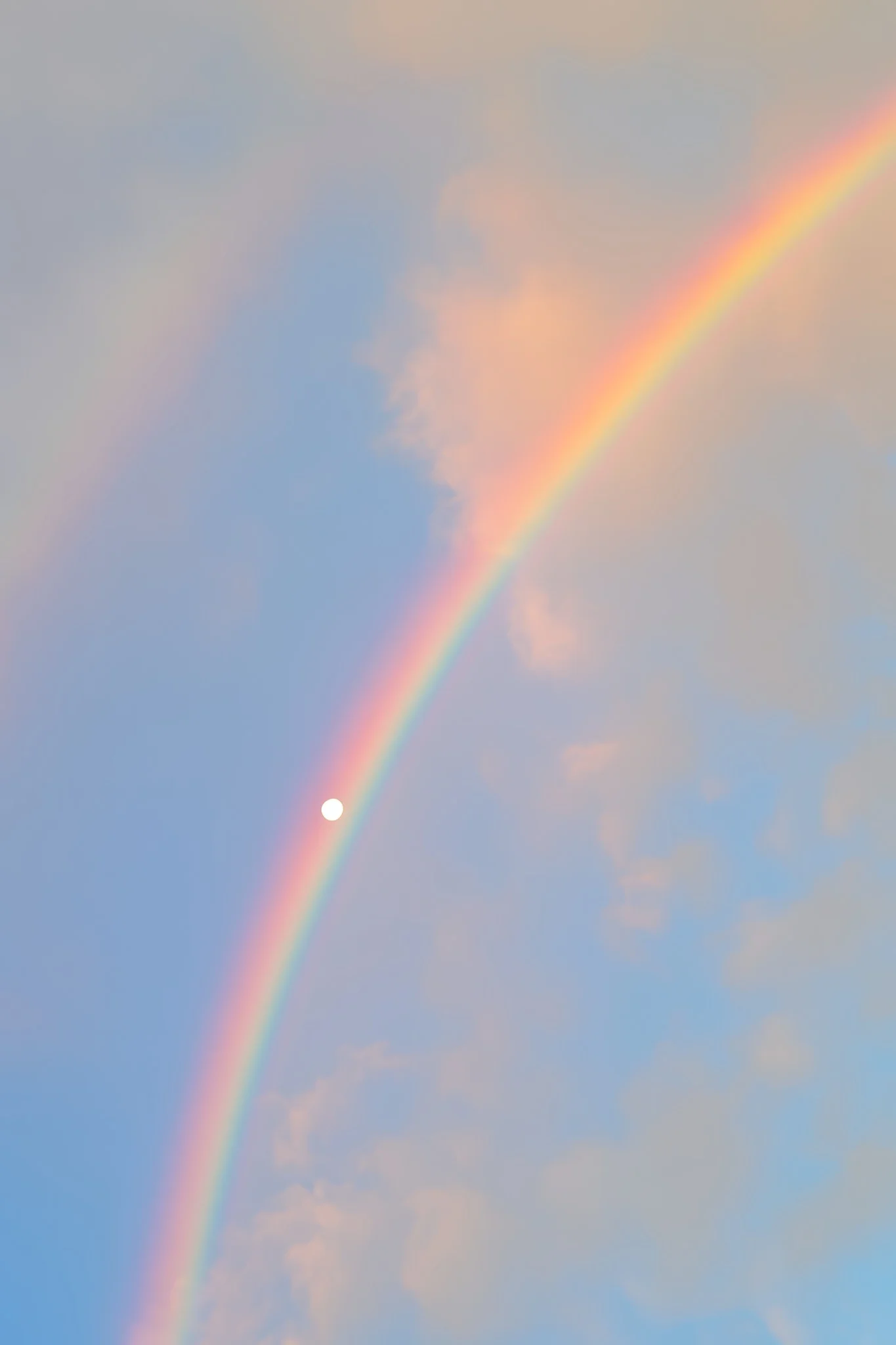 1754265748139587.webp
