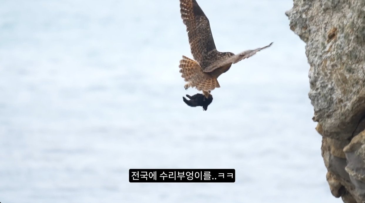 1754285346355493.jpg