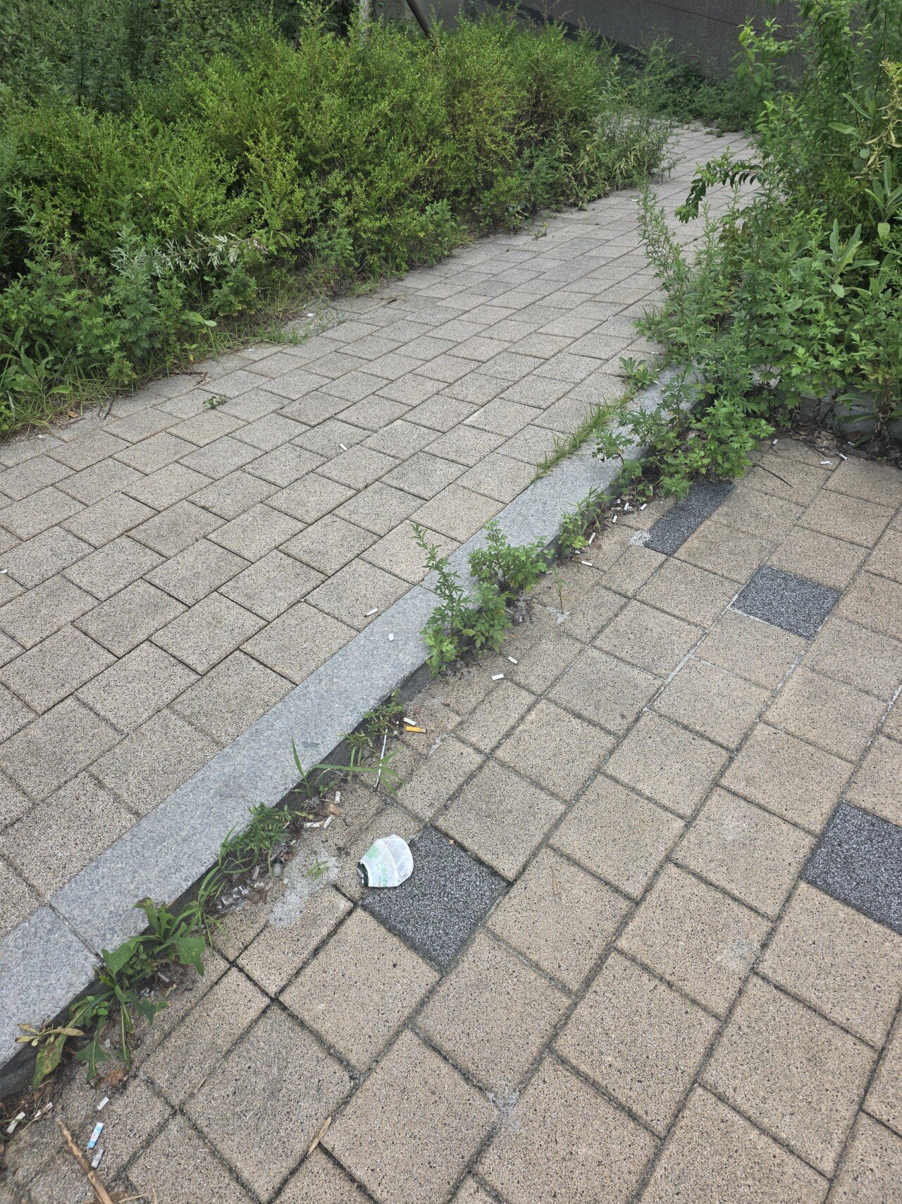 1754629008260429.jpg