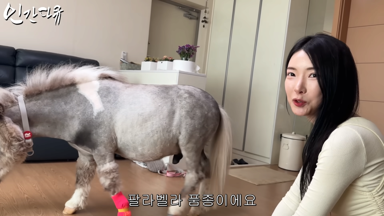 스포츠중계,무료스포츠중계,해외스포츠중계
