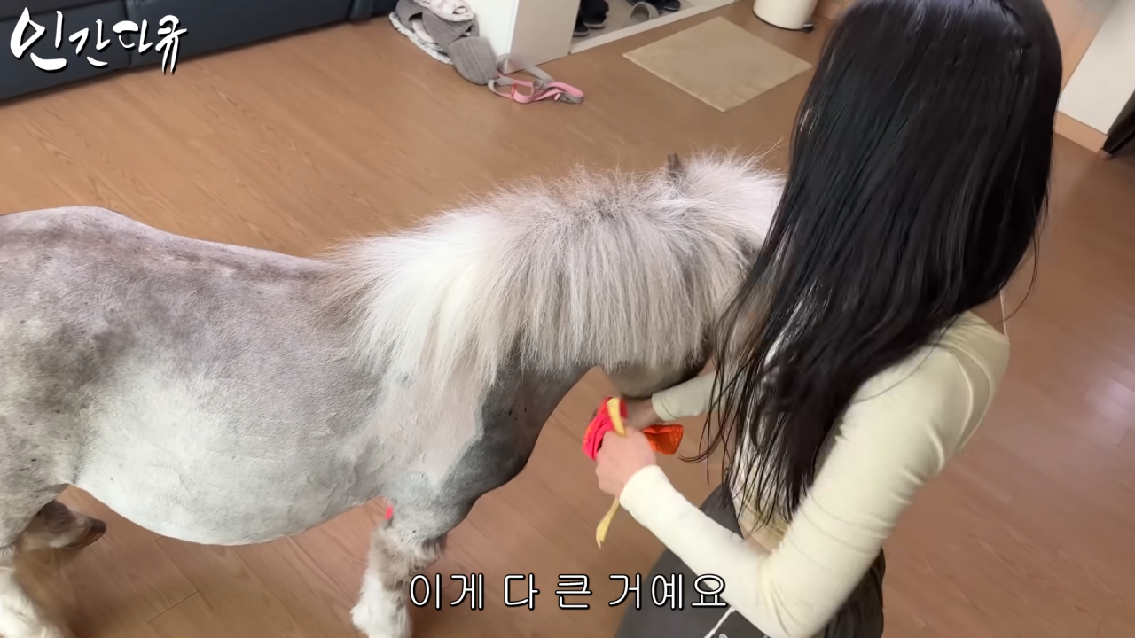 스포츠중계,무료스포츠중계,해외스포츠중계