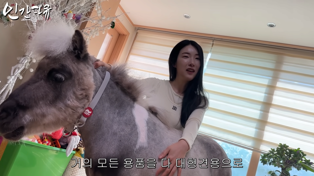 스포츠중계,무료스포츠중계,해외스포츠중계