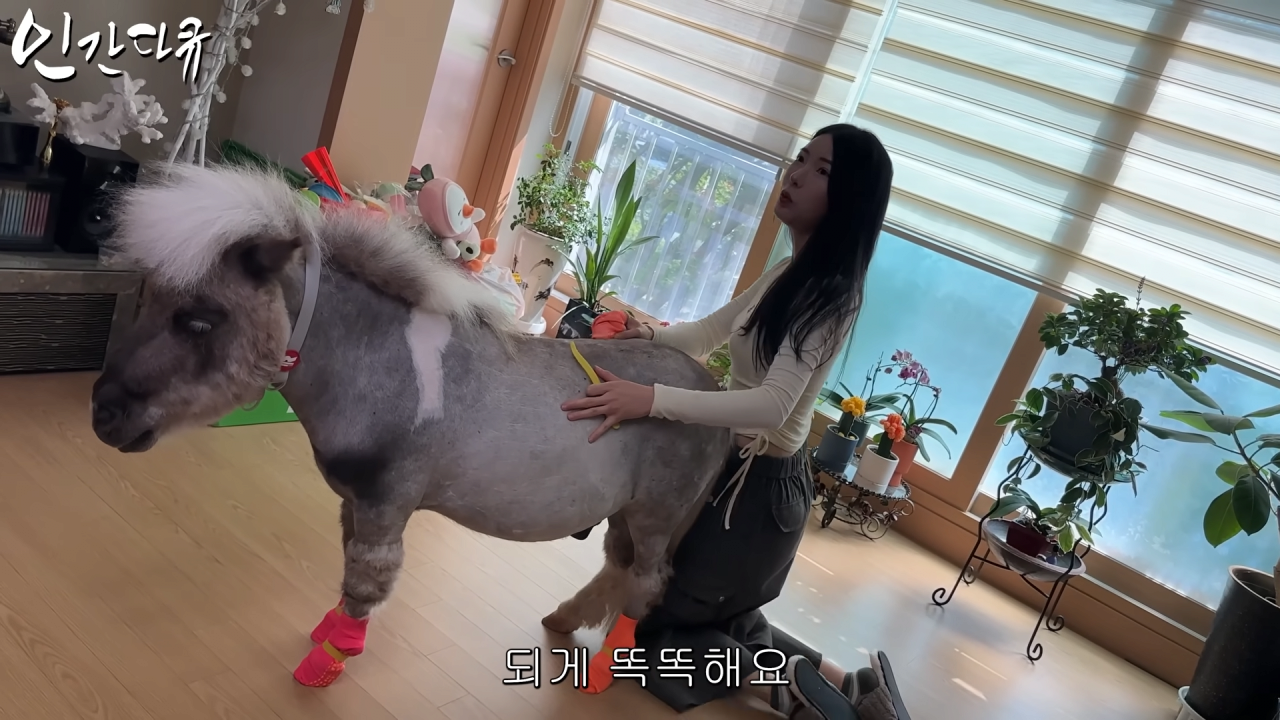 스포츠중계,무료스포츠중계,해외스포츠중계