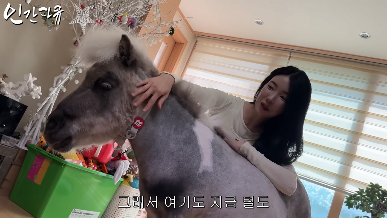 스포츠중계,무료스포츠중계,해외스포츠중계
