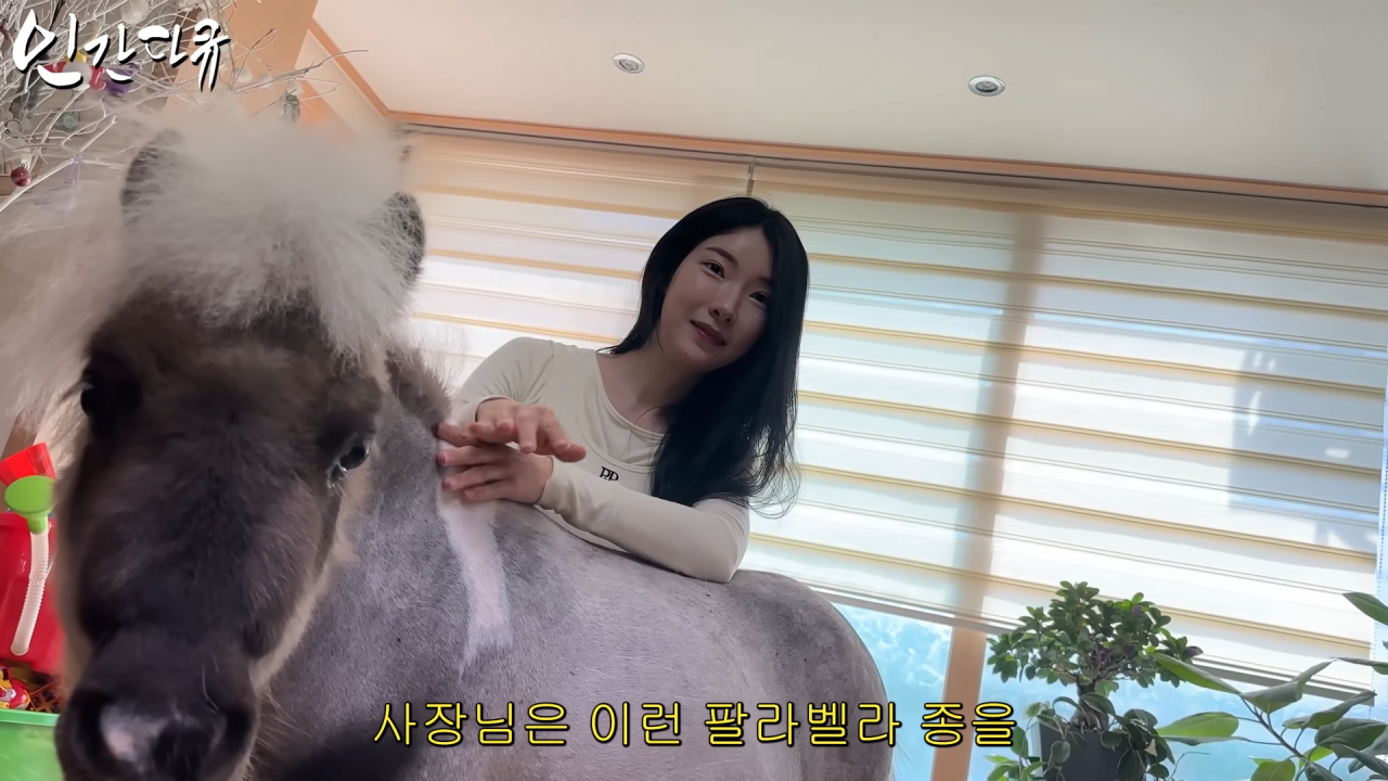 스포츠중계,무료스포츠중계,해외스포츠중계