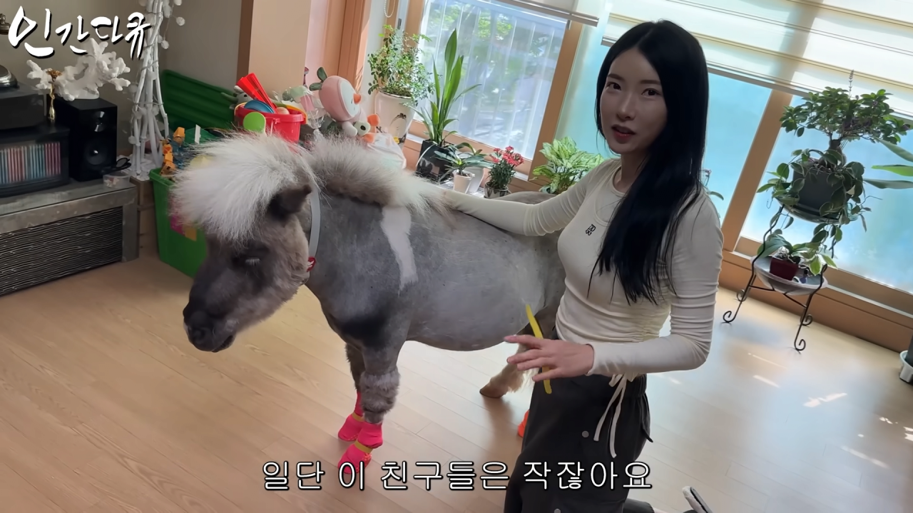 스포츠중계,무료스포츠중계,해외스포츠중계