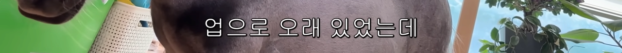 스포츠중계,무료스포츠중계,해외스포츠중계