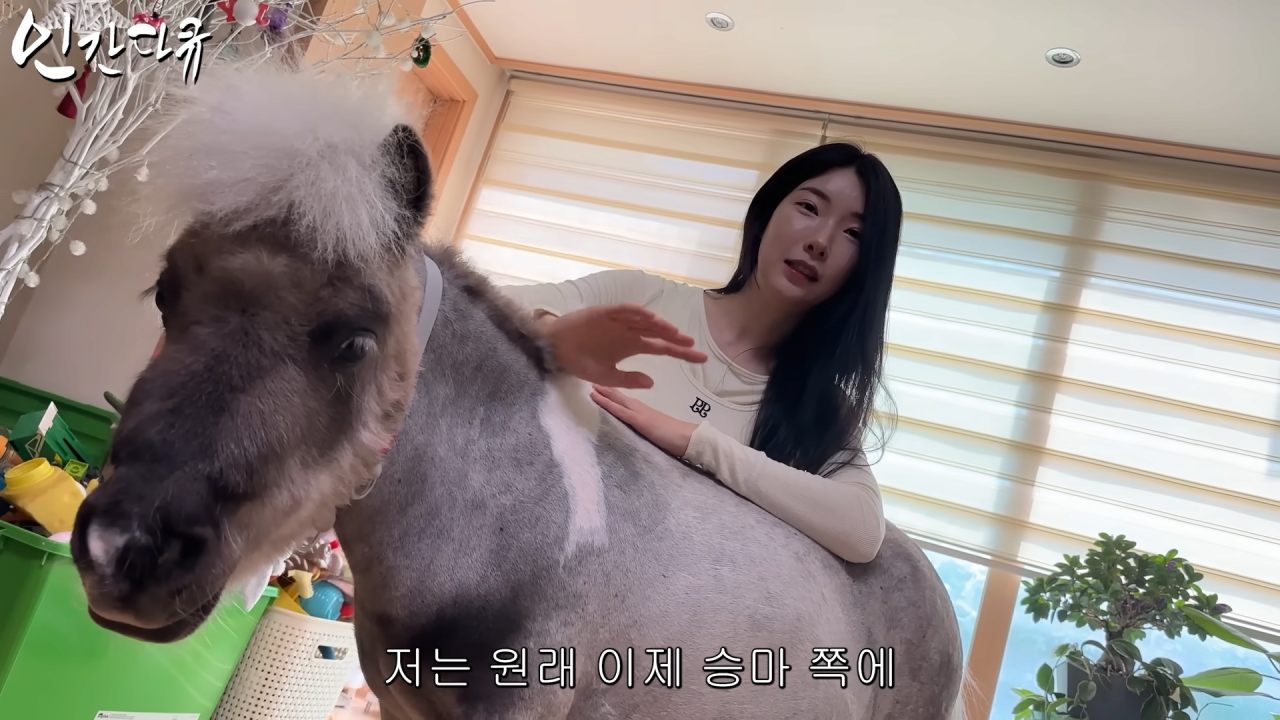 스포츠중계,무료스포츠중계,해외스포츠중계