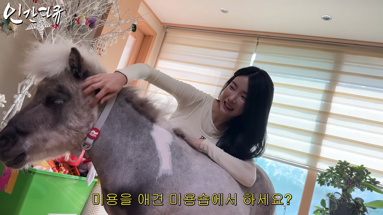 스포츠중계,무료스포츠중계,해외스포츠중계