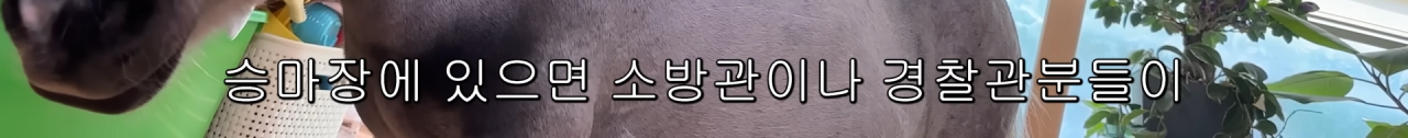 스포츠중계,무료스포츠중계,해외스포츠중계