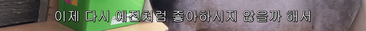 스포츠중계,무료스포츠중계,해외스포츠중계