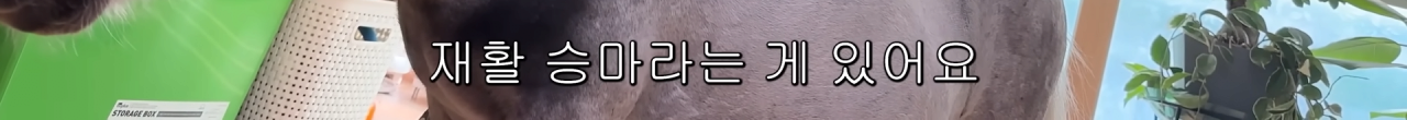 스포츠중계,무료스포츠중계,해외스포츠중계