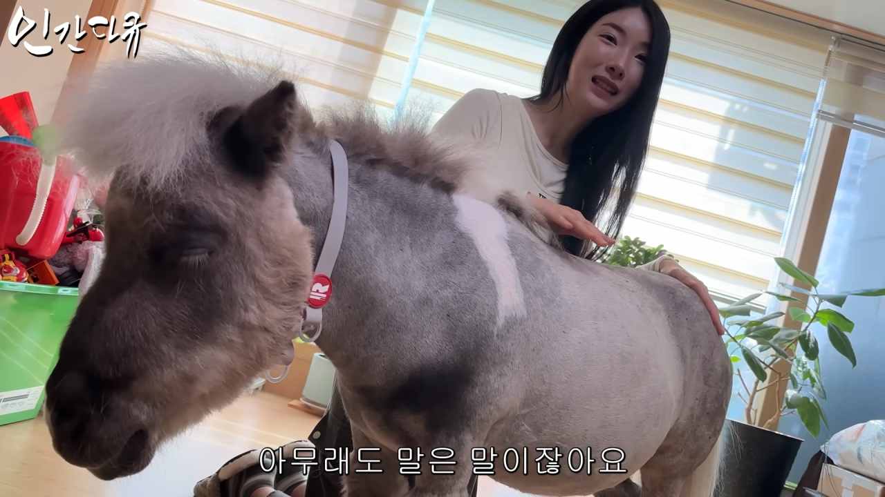 스포츠중계,무료스포츠중계,해외스포츠중계