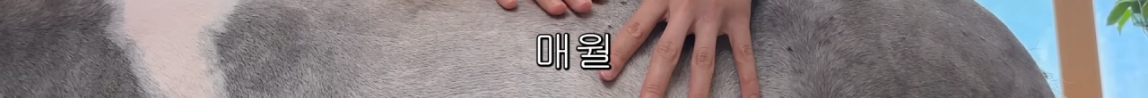 스포츠중계,무료스포츠중계,해외스포츠중계