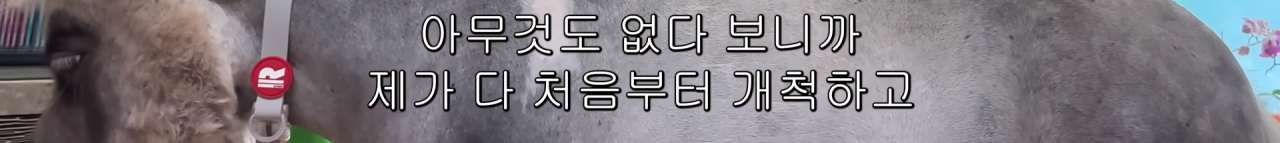 스포츠중계,무료스포츠중계,해외스포츠중계