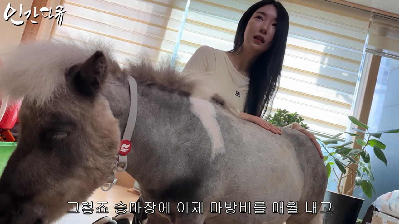 스포츠중계,무료스포츠중계,해외스포츠중계