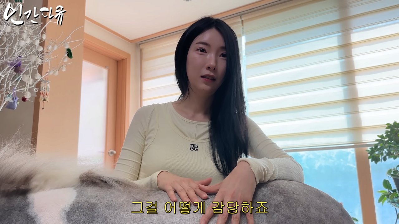 스포츠중계,무료스포츠중계,해외스포츠중계