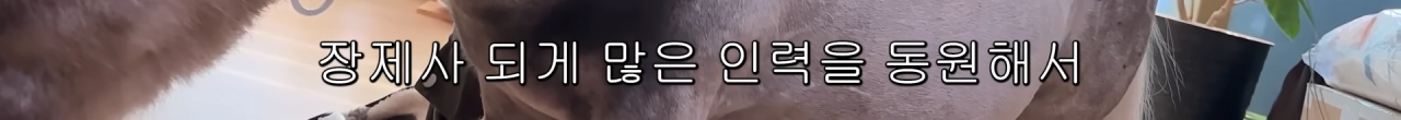 스포츠중계,무료스포츠중계,해외스포츠중계