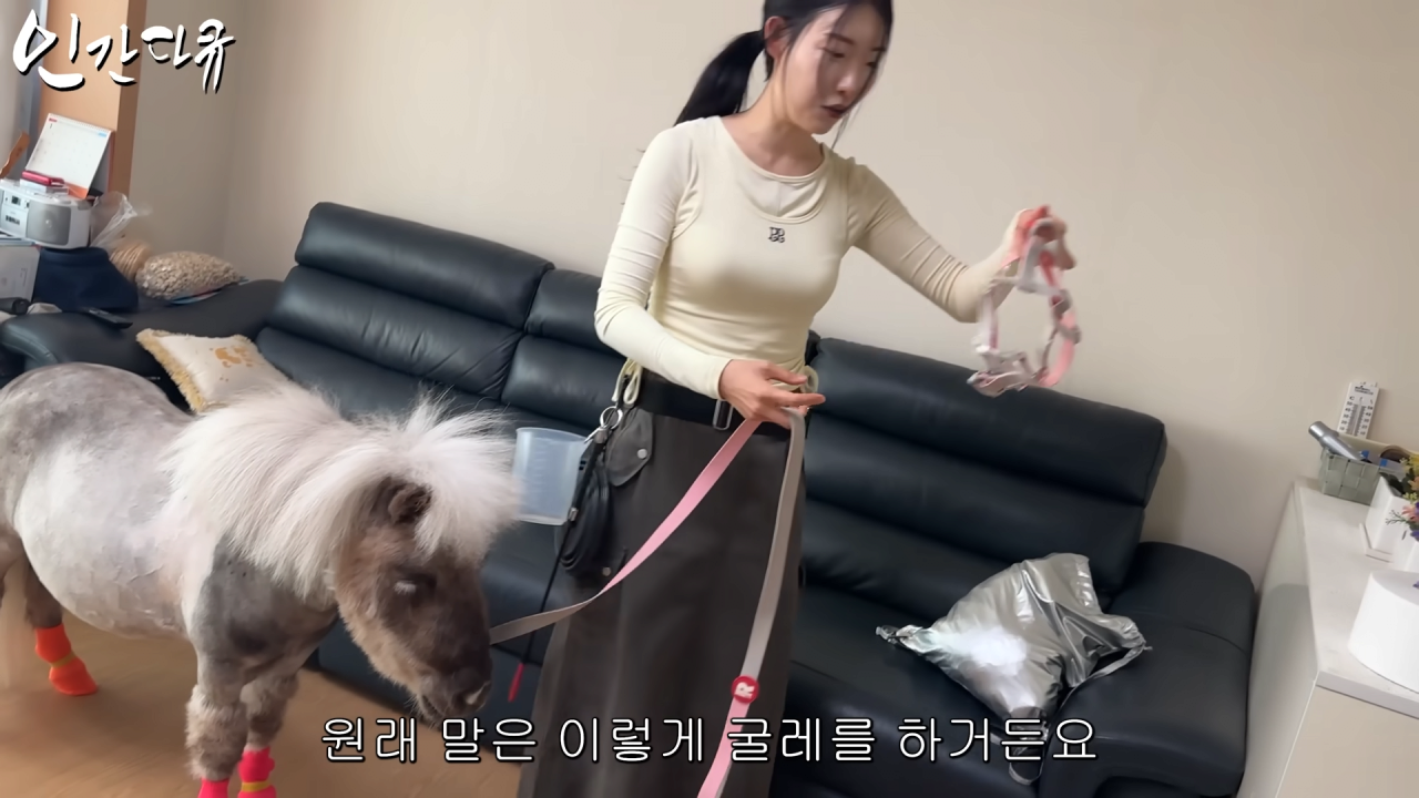 스포츠중계,무료스포츠중계,해외스포츠중계