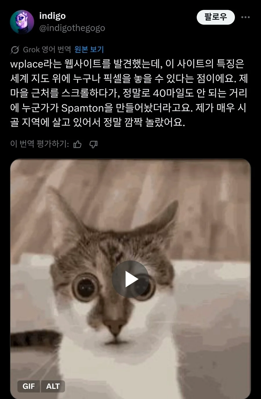 스포츠중계,무료스포츠중계,해외스포츠중계