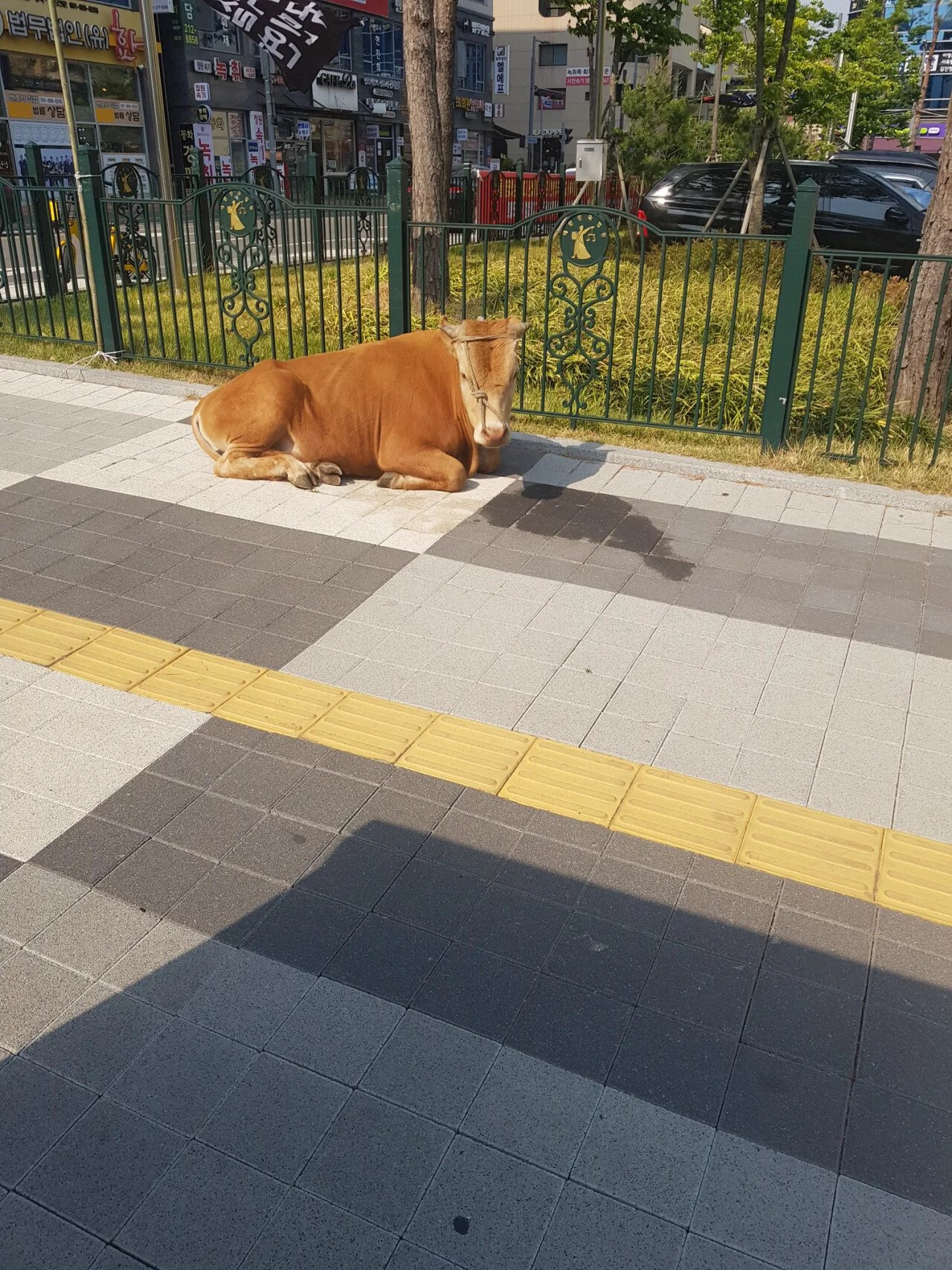 스포츠중계,무료스포츠중계,해외스포츠중계