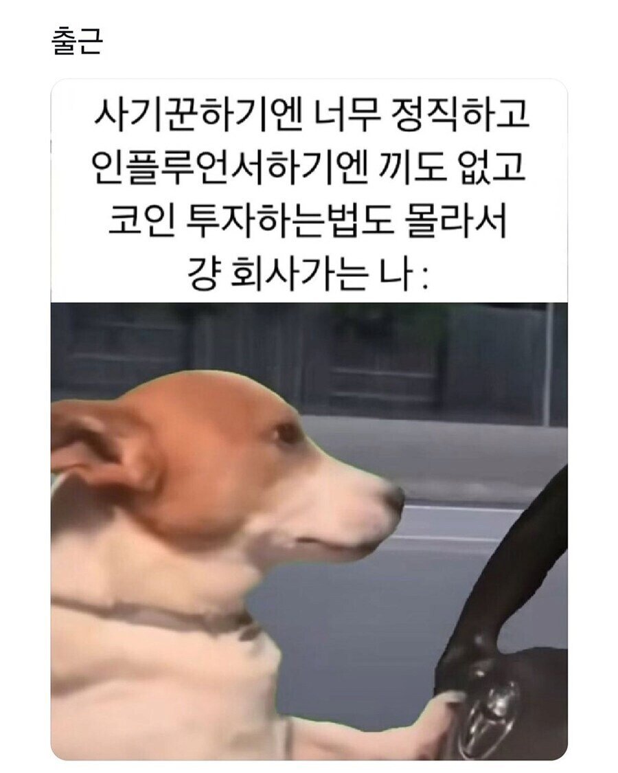 1755569560973625.jpg