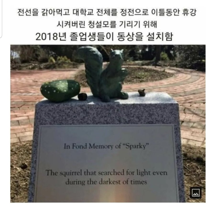 1755581399617850.jpg