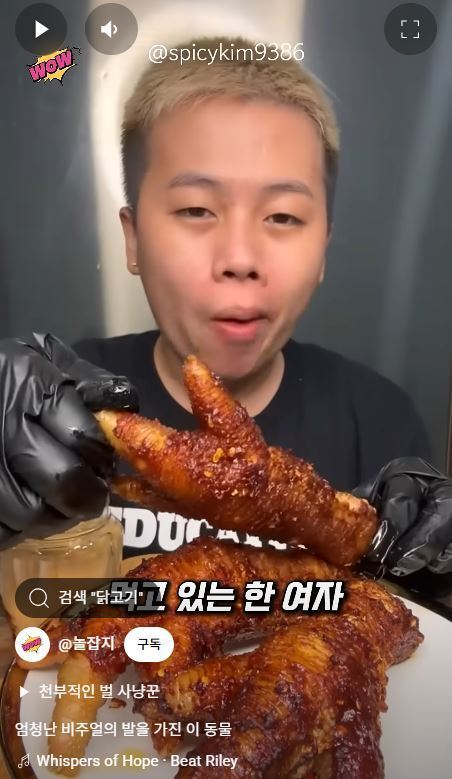 스포츠중계,무료스포츠중계,해외스포츠중계