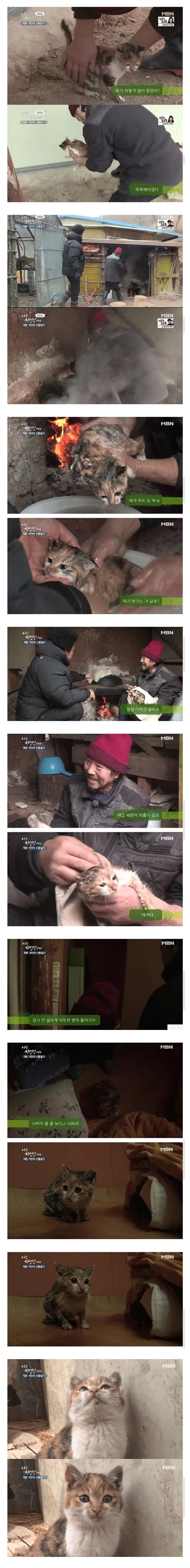 스포츠중계,무료스포츠중계,해외스포츠중계