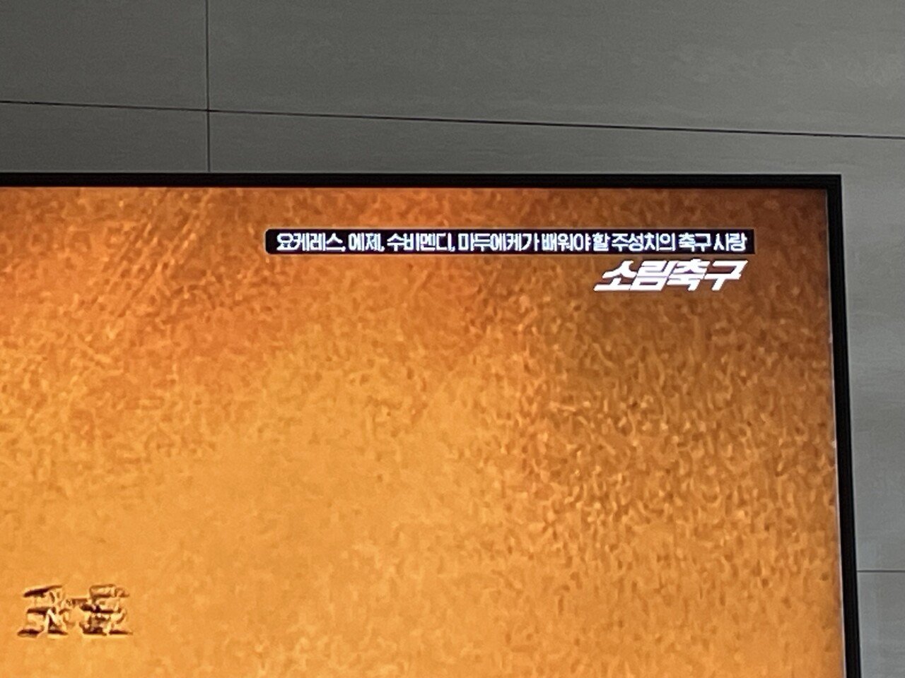 스포츠중계,무료스포츠중계,해외스포츠중계
