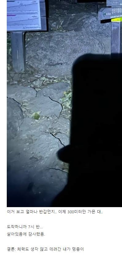 스포츠중계,무료스포츠중계,해외스포츠중계