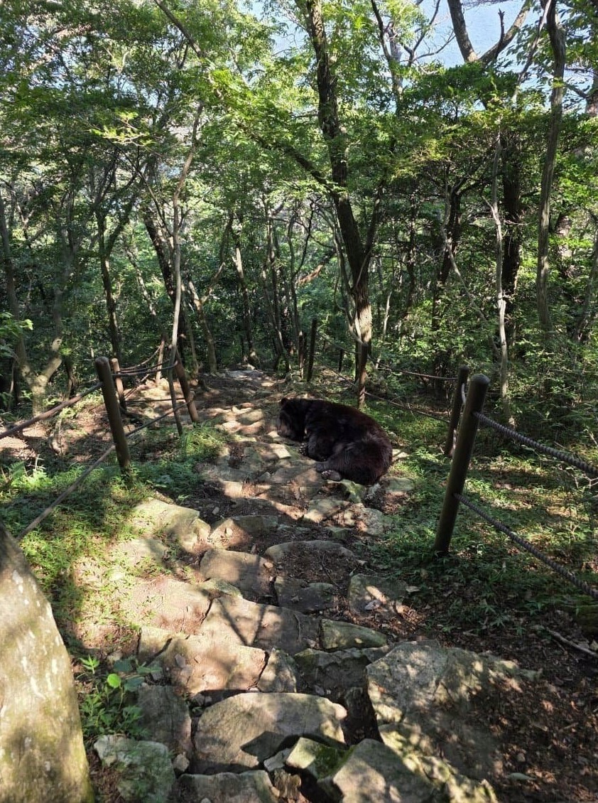 스포츠중계,무료스포츠중계,해외스포츠중계