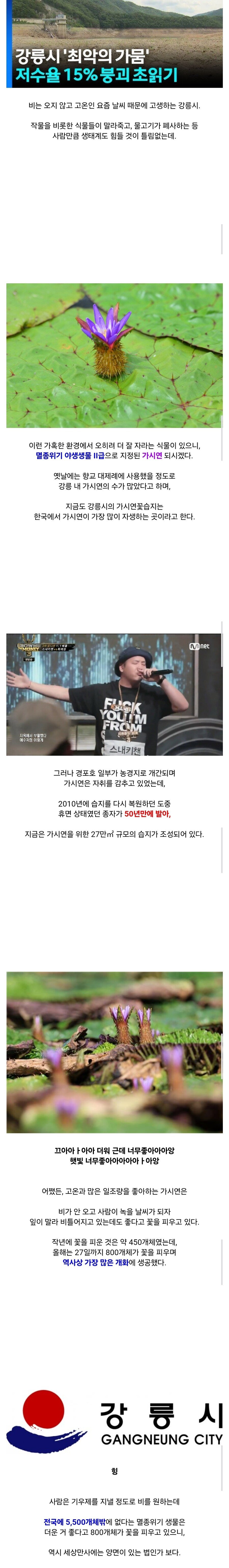 1756467554530123.jpg