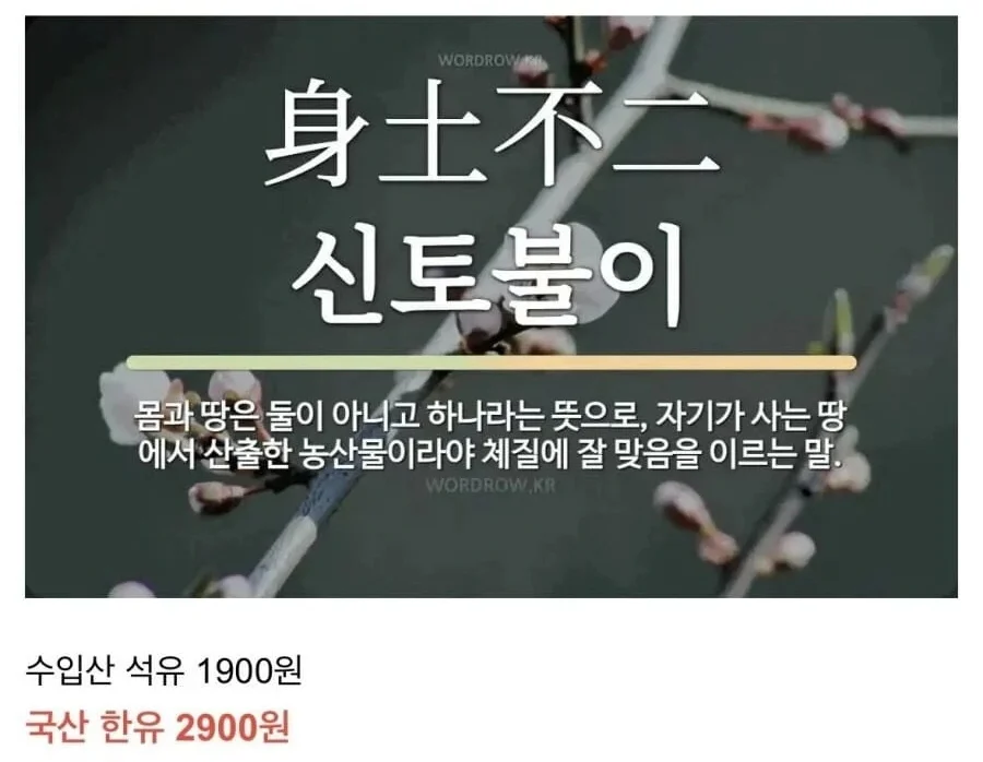 1756555435209002.webp