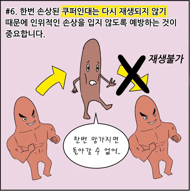 1756879633864827.webp